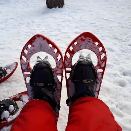 Carlotta&paola Апартаменты Боргата-Сестриере